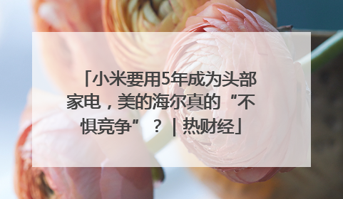 小米要用5年成为头部家电，美的海尔真的“不惧竞争”？｜热财经