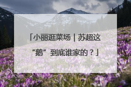 小丽逛菜场｜苏超这“鹅”到底谁家的？