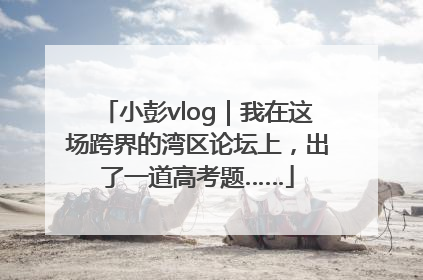小彭vlog｜我在这场跨界的湾区论坛上，出了一道高考题……