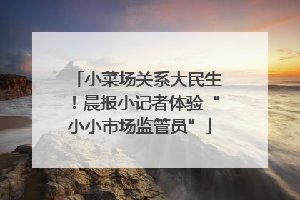 小菜场关系大民生！晨报小记者体验“小小市场监管员”
