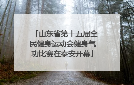 山东省第十五届全民健身运动会健身气功比赛在泰安开幕