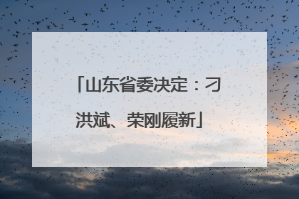 山东省委决定：刁洪斌、荣刚履新