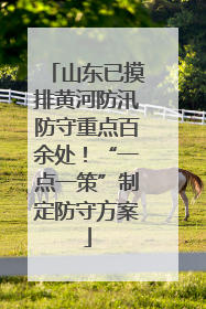 山东已摸排黄河防汛防守重点百余处！“一点一策”制定防守方案