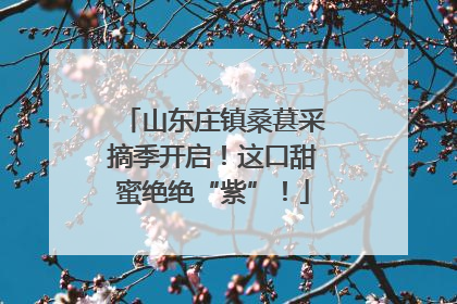 山东庄镇桑葚采摘季开启！这口甜蜜绝绝“紫”！
