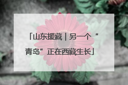 山东援藏｜另一个“青岛”正在西藏生长