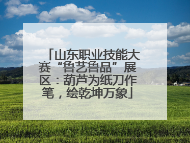山东职业技能大赛“鲁艺鲁品”展区：葫芦为纸刀作笔，绘乾坤万象