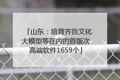 山东：培育齐鲁文化大模型等在内的首版次高端软件1659个