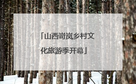 山西岢岚乡村文化旅游季开幕