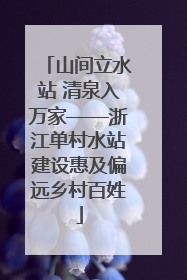 山间立水站 清泉入万家——浙江单村水站建设惠及偏远乡村百姓