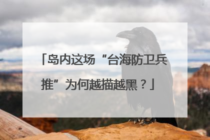 岛内这场“台海防卫兵推”为何越描越黑？
