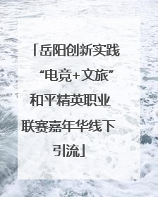 岳阳创新实践“电竞+文旅” 和平精英职业联赛嘉年华线下引流