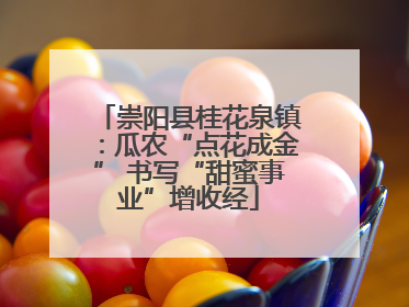 崇阳县桂花泉镇：瓜农“点花成金” 书写“甜蜜事业”增收经