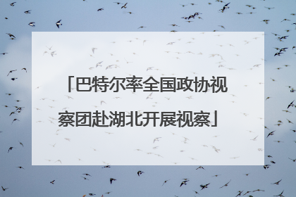 巴特尔率全国政协视察团赴湖北开展视察
