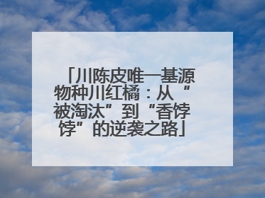 川陈皮唯一基源物种川红橘：从“被淘汰”到“香饽饽”的逆袭之路