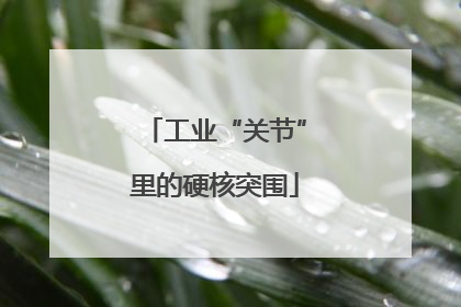 工业“关节”里的硬核突围