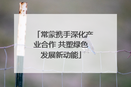 常蒙携手深化产业合作 共塑绿色发展新动能