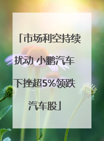 市场利空持续扰动 小鹏汽车下挫超5%领跌汽车股