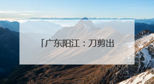 广东阳江：刀剪出口规模持续扩大