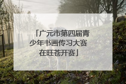 广元市第四届青少年书画传习大赛在旺苍开赛