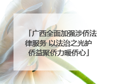 广西全面加强涉侨法律服务 以法治之光护侨益聚侨力暖侨心