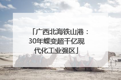 广西北海铁山港：30年蝶变超千亿现代化工业强区