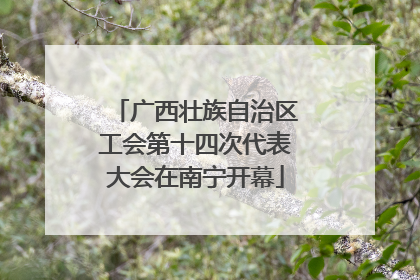 广西壮族自治区工会第十四次代表大会在南宁开幕