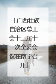 广西壮族自治区总工会十三届十二次全委会议在南宁召开