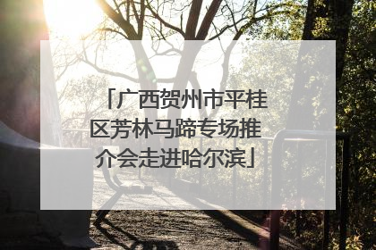 广西贺州市平桂区芳林马蹄专场推介会走进哈尔滨