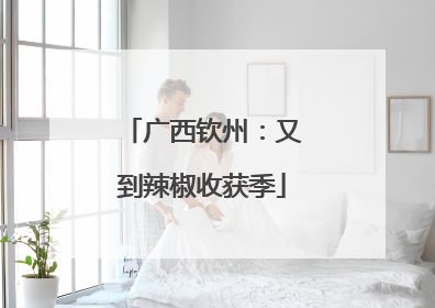 广西钦州：又到辣椒收获季