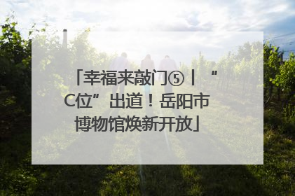 幸福来敲门⑤丨“C位”出道！岳阳市博物馆焕新开放