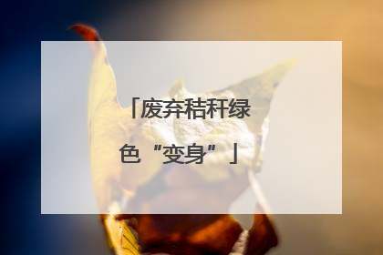 废弃秸秆绿色“变身”