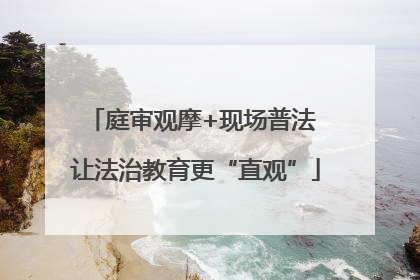 庭审观摩+现场普法 让法治教育更“直观”