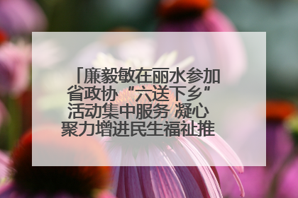 廉毅敏在丽水参加省政协“六送下乡”活动集中服务 凝心聚力增进民生福祉推进共同富裕