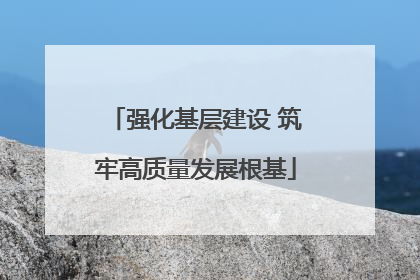 强化基层建设 筑牢高质量发展根基