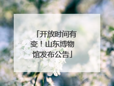 开放时间有变！山东博物馆发布公告