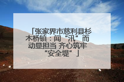 张家界市慈利县杉木桥镇：闻“汛”而动显担当 齐心筑牢“安全堤”