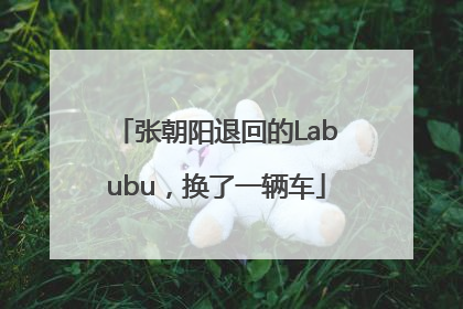 张朝阳退回的Labubu，换了一辆车