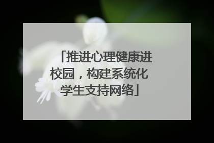 推进心理健康进校园，构建系统化学生支持网络