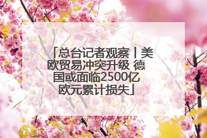 总台记者观察丨美欧贸易冲突升级 德国或面临2500亿欧元累计损失