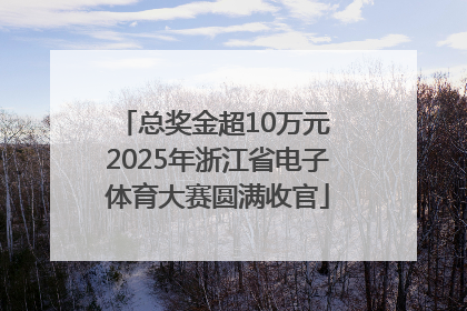 总奖金超10万元 2025年浙江省电子体育大赛圆满收官