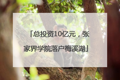 总投资10亿元，张家界学院落户梅溪湖