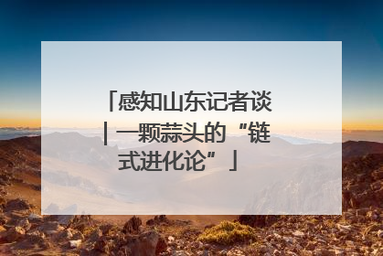 感知山东记者谈｜一颗蒜头的“链式进化论”