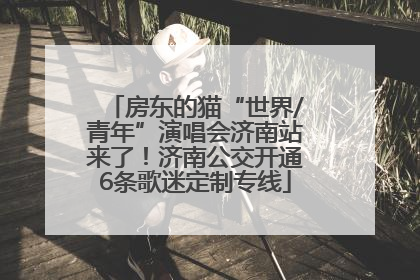 房东的猫“世界/青年”演唱会济南站来了！济南公交开通6条歌迷定制专线