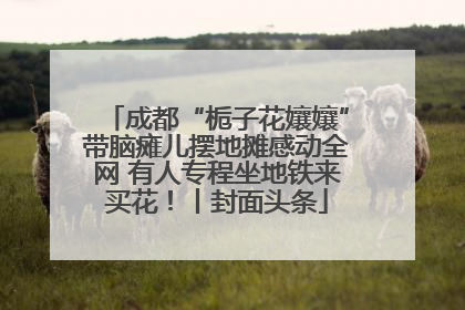 成都“栀子花孃孃”带脑瘫儿摆地摊感动全网 有人专程坐地铁来买花！丨封面头条