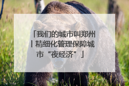 我们的城市叫郑州丨精细化管理保障城市“夜经济”