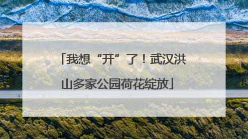 我想“开”了！武汉洪山多家公园荷花绽放