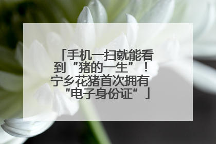 手机一扫就能看到“猪的一生”！宁乡花猪首次拥有“电子身份证”