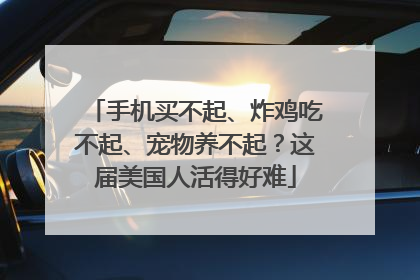 手机买不起、炸鸡吃不起、宠物养不起？这届美国人活得好难