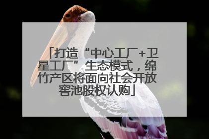 打造“中心工厂+卫星工厂”生态模式，绵竹产区将面向社会开放窖池股权认购