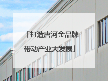 打造唐河金品牌 带动产业大发展